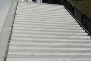 Roof After