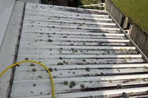 Roof Before